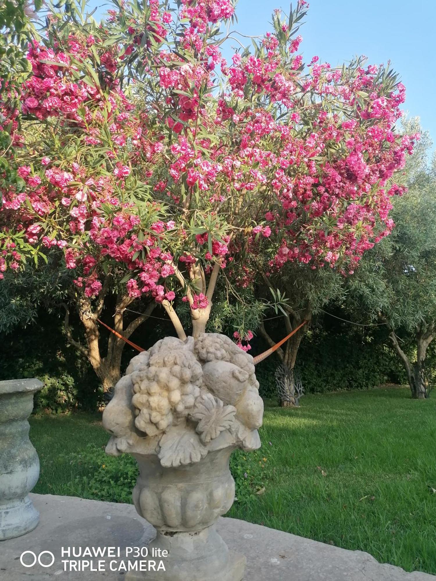 Oasi Di Campagna Otel Modica Dış mekan fotoğraf
